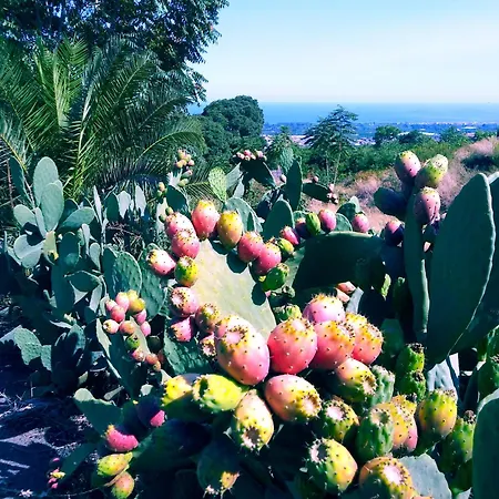 Holiday home Casa Piedimonte Mare Etna Fiumefreddo di Sicilia
