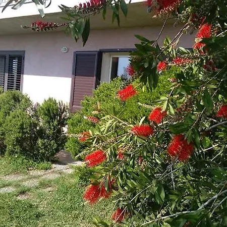 Casa Piedimonte Mare Etna * Fiumefreddo di Sicilia